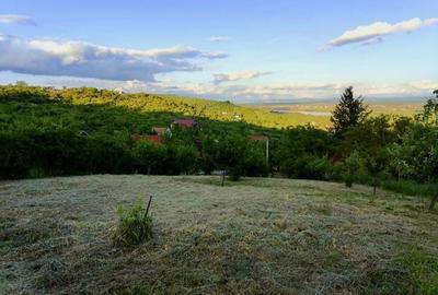 Teren intravilan de 1765 mp, în Podgoria