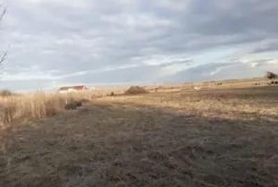 Teren de 1000 mp, în Moșnița Nouă