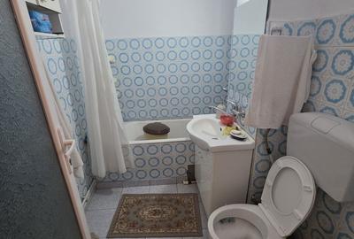 Apartament cu 2 camere decomandat în Radu Negru