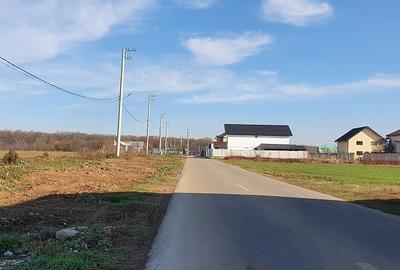 Teren Construcții intravilan de 800 mp, în Dumbrăveni - 4