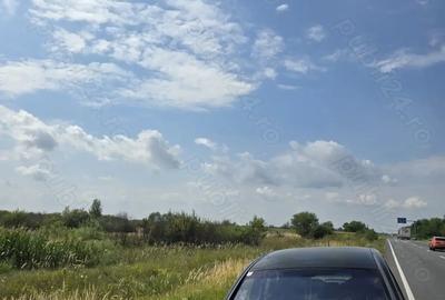 Teren de 29000 mp, în Gavojdia - 3