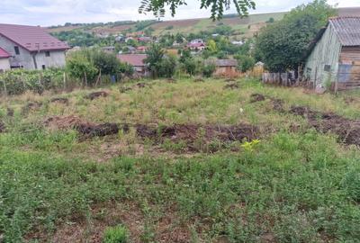 Teren de 900 mp, în Vânători