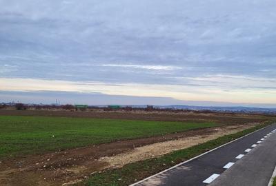 Teren Construcții intravilan de 3250 mp, în Nufărul - 2