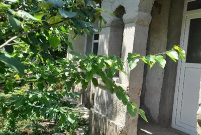 Casă cu 2 camere cu Teren 1000 Mp în Alexandru Odobescu - 2
