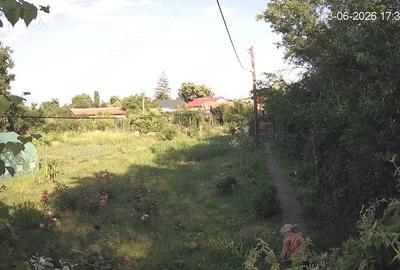 Casă cu Teren 5000 Mp în Cornu