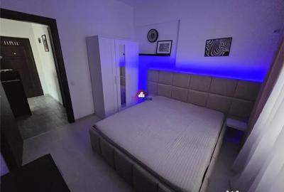 Apartament cu 2 camere semidecomandat, mobilat în Gorjului - 11