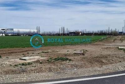 Teren agricol intravilan de 9640 mp, în Vest - 4