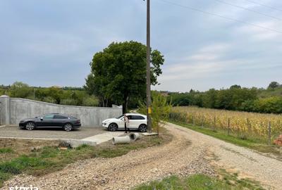 Teren de 11600 mp, în Viile Satu Mare