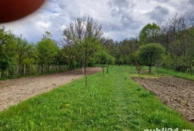 Teren de 2403 mp, în Iedera - 7