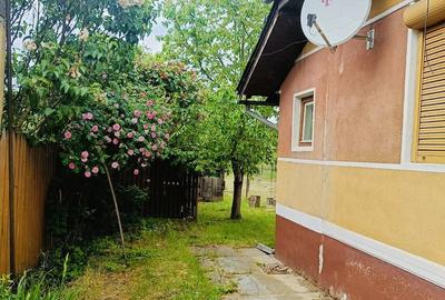 Casă cu 4 camere cu Teren 684 Mp în Săsciori - 2
