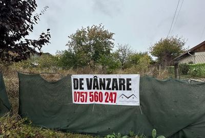 Spațiu comercial, în Tomești