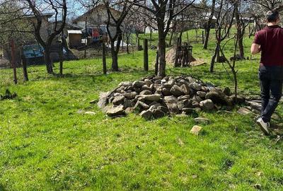Teren de 1716 mp, în Breaza de Jos - 6