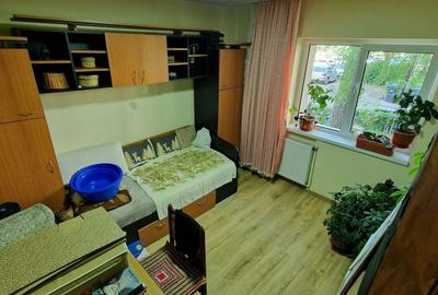 Apartament cu 2 camere decomandat în Lipovei