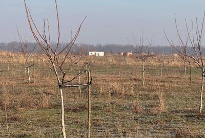 Teren de 749000 mp, în Bucești - 7