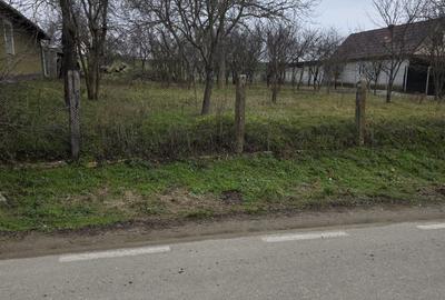 Casă cu 2 camere în Păușa - 12