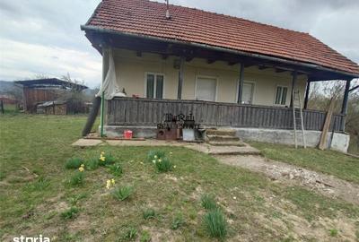 Teren de 9370 mp, în Baia de Criș - 2