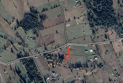 Teren de 5000 mp, în Neagra - 1