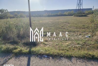 Teren de 11125 mp, în Căzănești - 5