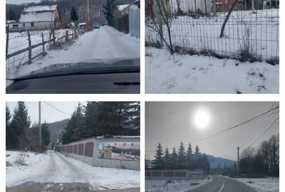Casă cu 2 camere în Hărman