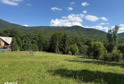 Teren de 1662 mp, în Valea Doftanei