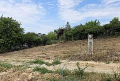 Teren Construcții intravilan de 720 mp, în Miroslava