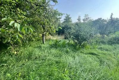 Casă cu 3 camere cu Teren 800 Mp în Siret - 1