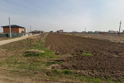Teren Construcții intravilan de 356 mp, în Berceni