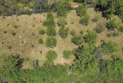 Casă cu 3 camere cu Teren 4381 Mp în Poduri - 4