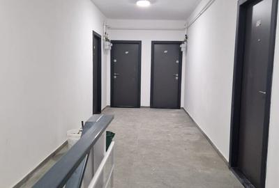 Apartament cu 2 camere decomandat în Lunca Cetățuii - 8