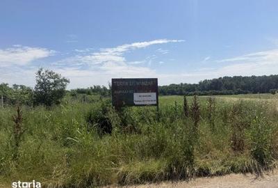 Teren de 8300 mp, în Gruiu