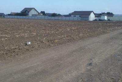 Teren Construcții intravilan de 6100 mp, în Cumpăna - 2