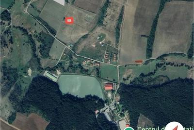 Teren de 690 mp, în Sălciua Nouă - 1