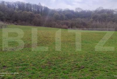 Teren agricol extravilan de 2500 mp, în Gherla