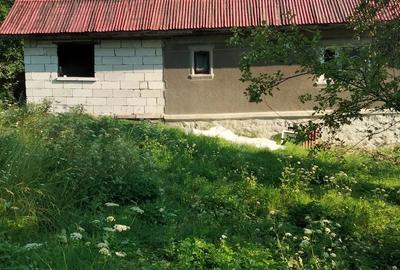 Casă cu Teren 932 Mp în Mihăileni