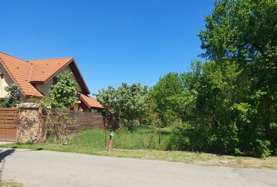Spațiu comercial, în Plopi - 3