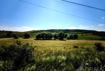 Teren Construcții intravilan de 4501 mp, în Chinteni - 3