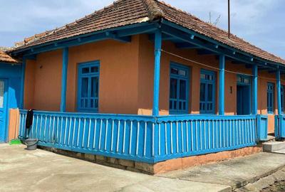 Casă cu 3 camere cu Teren 1947 Mp în Bâcu - 3