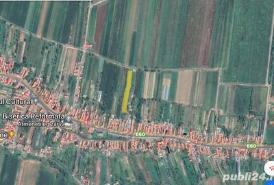Teren de 10000 mp, în Urvind