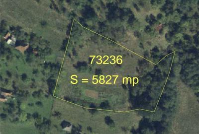Teren de 5800 mp, în Avram Iancu - 5