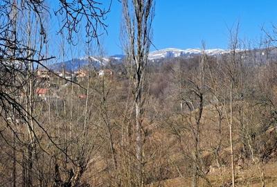 Teren de 2142 mp, în Podul Lung - 3