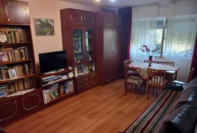 Apartament cu 2 camere decomandat, mobilat în Cornitoiu