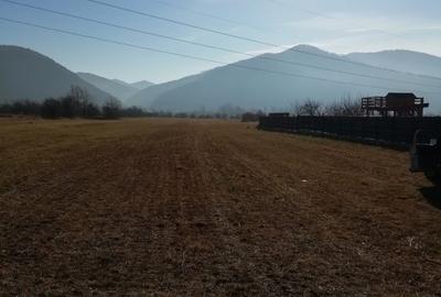 Teren Construcții intravilan de 2646 mp, în Vest - 1