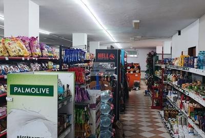 Spațiu comercial, de 330 mp, în Bizighești - 2
