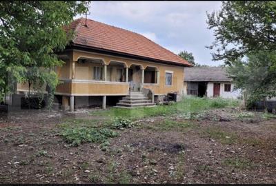 Casă cu 3 camere cu Teren 6869 Mp în Central