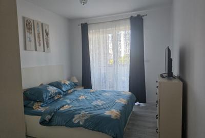 Apartament cu 2 camere semidecomandat în Torontalului - 12
