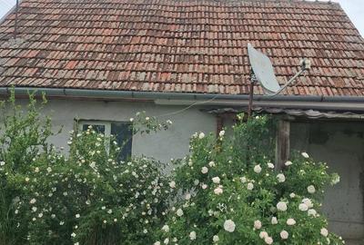 Casă cu 2 camere cu Teren 1090 Mp în Central - 1