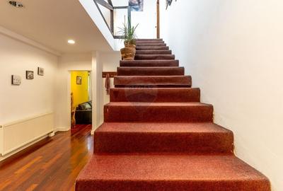 Casă individuală cu 6 camere cu Teren 5955 Mp în Mănăștur - 8
