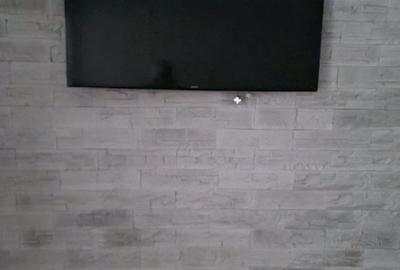 Apartament cu 2 camere semidecomandat în Podu Roș - 4