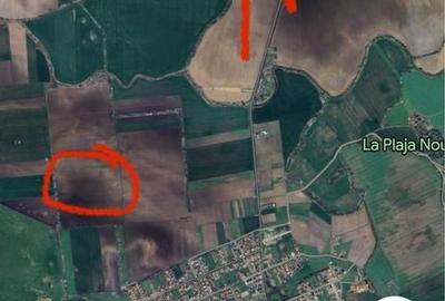 Teren de 5800 mp, în Sânmihaiu Român