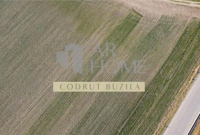 Teren Construcții intravilan de 2500 mp, în Chițorani - 4